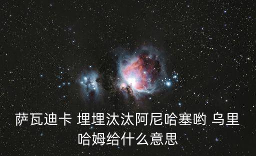 薩瓦迪卡水上樂(lè)園，有首歌薩瓦迪卡什么的一個(gè)男生嘰嘰歪歪唱的有點(diǎn)破音的節(jié)奏