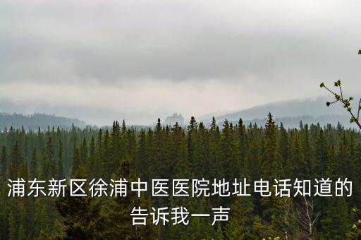浦東新區徐浦中醫醫院地址電話知道的告訴我一聲