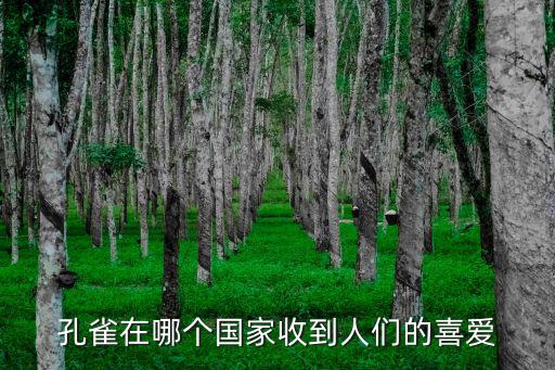 孔雀在哪個國家收到人們的喜愛