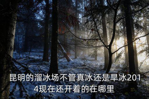 昆明的溜冰場不管真冰還是旱冰2014現在還開著的在哪里