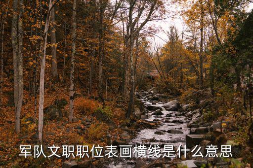 軍隊文職職位表畫橫線是什么意思