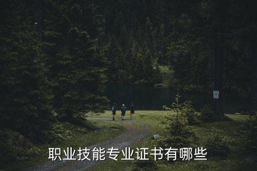 職業技能培訓證書，職業技能證書有哪些