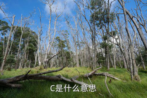 C是什么意思