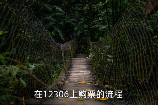 在12306上購票的流程