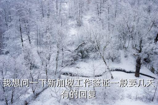 我想問一下新加坡工作簽證一般要幾天有的回復