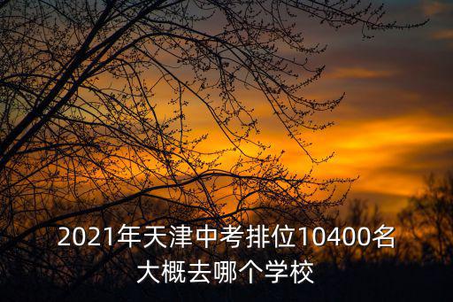 天津四十一中，天津四十一中學缺點