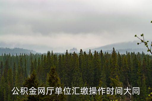 公積金網廳單位匯繳操作時間大同