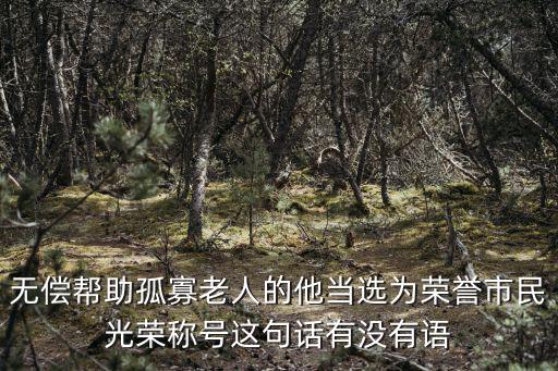 榮譽市民，寧海榮譽市民稱號有哪些任務