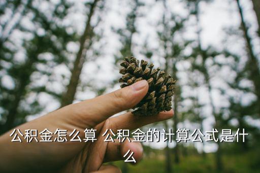 公積金怎么算 公積金的計算公式是什么