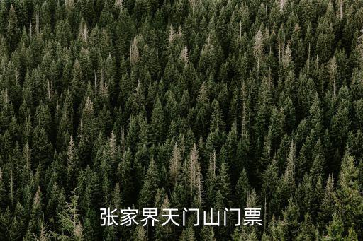 天門山門票多少錢一張，張家界天門山的門票是多少