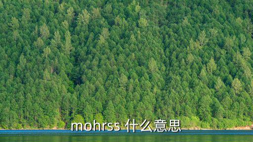 mohrss，edumohrssgovcn查找自己的名字