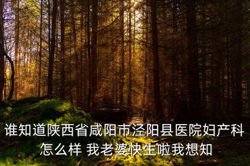涇陽縣醫院，誰知道陜西省咸陽市涇陽縣醫院婦產科 怎么樣 我老婆快生啦我想知