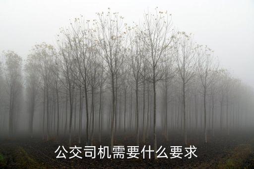 公交車司機招聘條件，城市公交車司機招聘需要什么條件