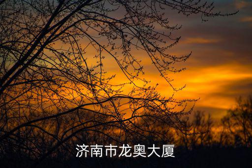 濟南市龍奧大廈