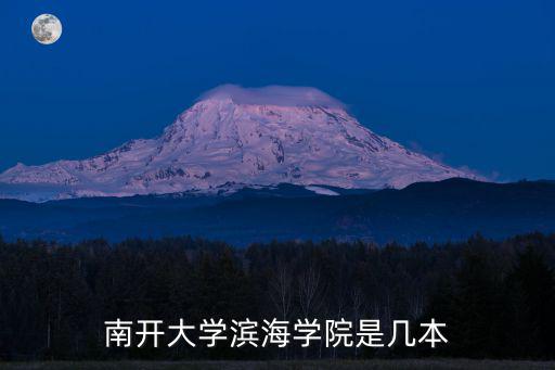 南開大學(xué)濱海學(xué)院是幾本
