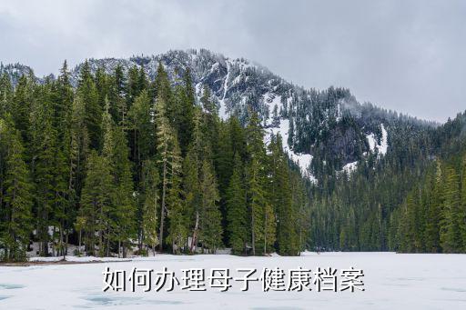 如何辦理母子健康檔案