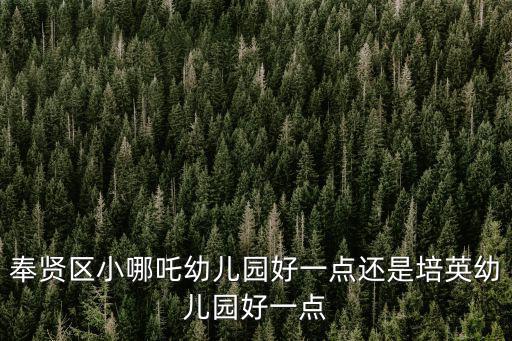 培英幼兒園，煙臺萊山天籟培英幼兒園學費多少