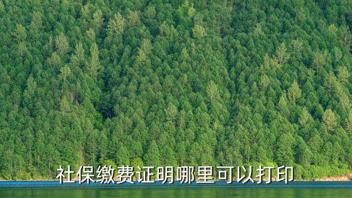 社保繳費證明打印，社保證明是怎么打印的