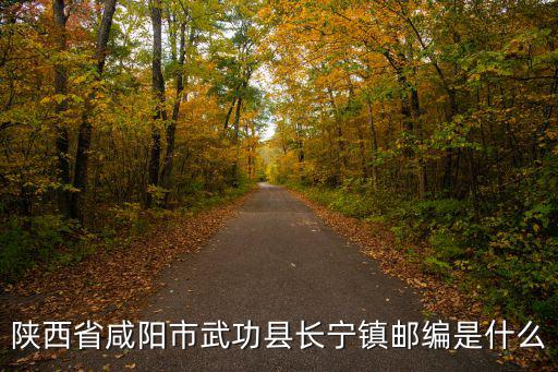 陜西省咸陽市武功縣長寧鎮郵編是什么