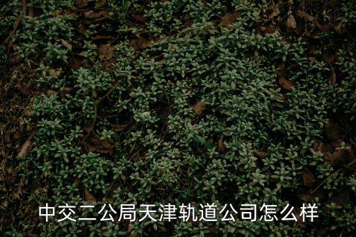 天津軌道交通集團，天津地鐵是賣私企了嗎