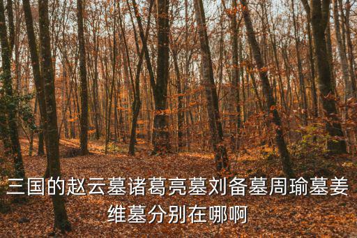三國(guó)的趙云墓諸葛亮墓劉備墓周瑜墓姜維墓分別在哪啊