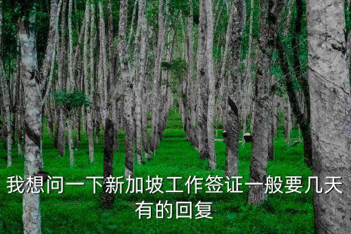新加坡工作簽證，我想問一下新加坡工作簽證一般要幾天有的回復