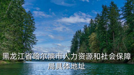 黑龍江省哈爾濱市人力資源和社會保障局具體地址