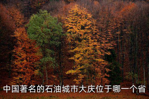 中國著名的石油城市大慶位于哪一個省