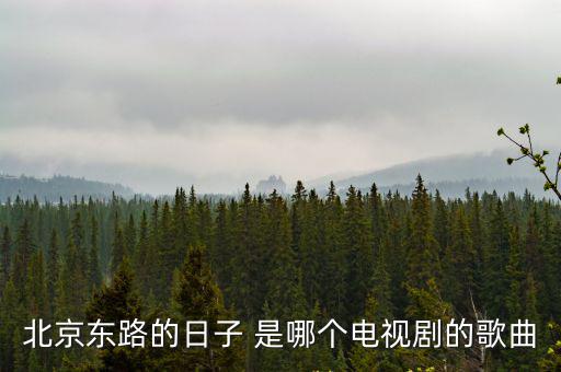 北京東路，上海北京東路屬于哪個(gè)區(qū)