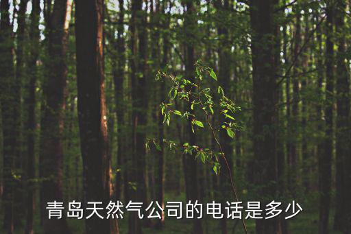 青島天然氣公司的電話是多少