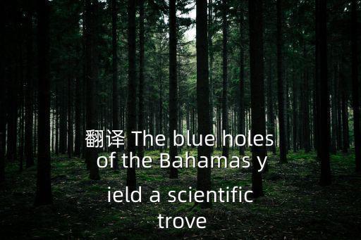 巴哈馬藍洞，世界上最深的海洋藍洞深度是多少
