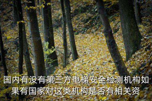 國(guó)內(nèi)有沒(méi)有第三方電梯安全檢測(cè)機(jī)構(gòu)如果有國(guó)家對(duì)這類機(jī)構(gòu)是否有相關(guān)資