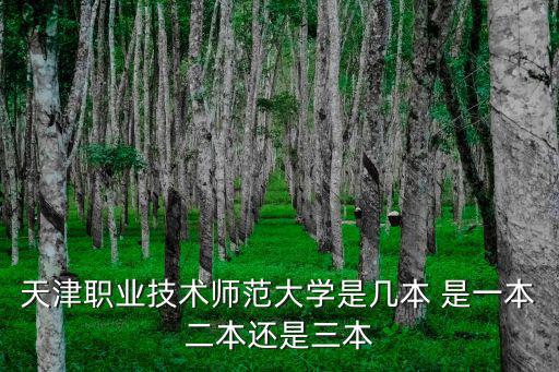 天津職業(yè)技術大學，天津職業(yè)技術師范大學是幾本 是一本二本還是三本