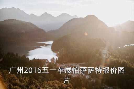 廣州2016五一車展怕薩薩特報價圖片