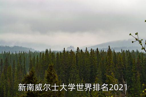 新南威爾士大學世界排名2021