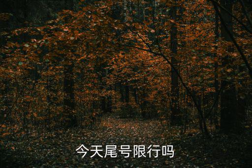 今天尾號限行嗎
