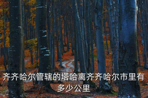 齊齊哈爾管轄的塔哈離齊齊哈爾市里有多少公里