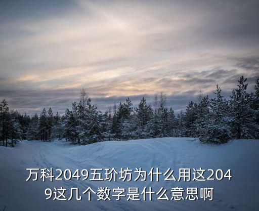 萬科五玠坊，萬科2049五玠坊商街什么時(shí)候開業(yè)