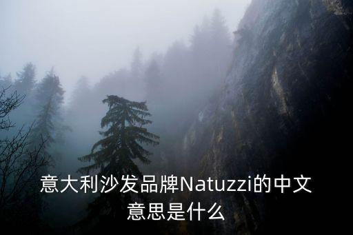 意大利沙發(fā)品牌Natuzzi的中文意思是什么