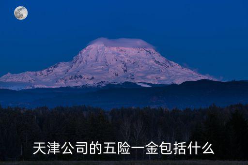 天津五險一金，天津公司的五險一金包括什么