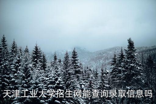 天津工業(yè)大學招生網(wǎng)能查詢錄取信息嗎