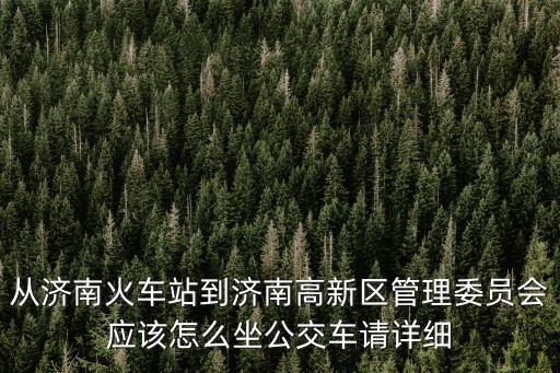 從濟南火車站到濟南高新區(qū)管理委員會應(yīng)該怎么坐公交車請詳細