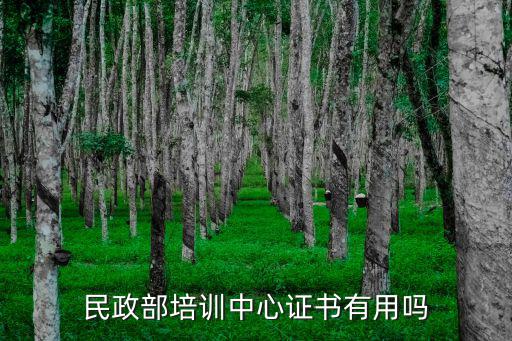 民政部培訓(xùn)中心證書有用嗎