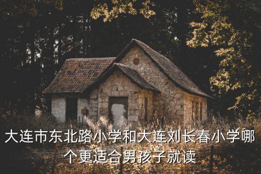 大連市東北路小學和大連劉長春小學哪個更適合男孩子就讀