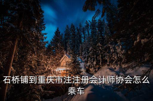 石橋鋪到重慶市注注冊會計師協(xié)會怎么乘車