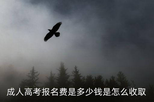 成人高考報(bào)名費(fèi)，成教報(bào)名費(fèi)多少啊