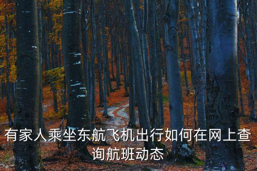 航班信息實時查詢，有家人乘坐東航飛機出行如何在網上查詢航班動態