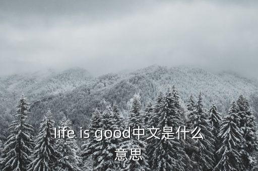 iife，什么是life