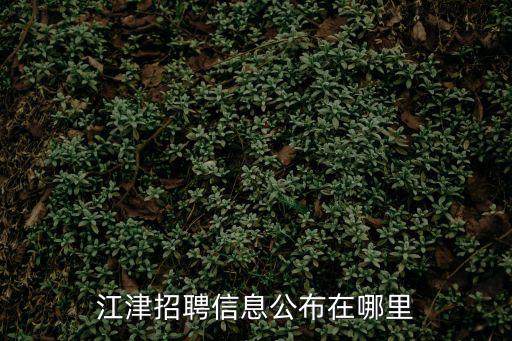 江津招聘信息公布在哪里