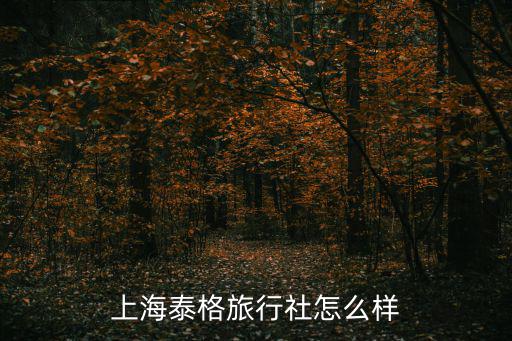 上海泰格旅行社怎么樣